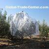 Hail Protection Nets Hole Size 3 * 7 Mm