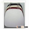 Chiavari chair cushion