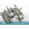 Titanium Screw Fastener