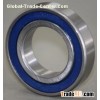 High Temprature 6006 Zz 2RS Deep Groove Ball Bearings