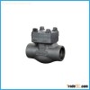 forged check valve a105