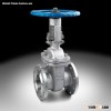 ANSI gate valve for chemical industry
