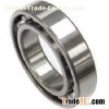 EZO Bearings