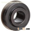 Dalton Bearings
