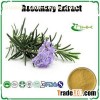 Rosmarinic Acid