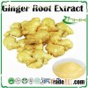 Ginger Root Extract