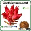Rhodiola Rosea Extract