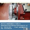 Water pump and lubrication pump of diesel engine
