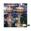 Forged Steel Globe Valve