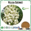 Yucca Extract