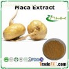 Maca Extract