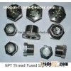 NPT fused sight glass