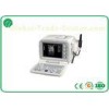 Digital Mobile B Mode Ultrasound Scanner Medical Equipment Disk C With 32MB Capacity
