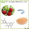 Dihydromyricetin /Vine tea Extract, Rattan tea extract from GMP manufacturer-Lyphar