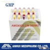Amoxicillin Capsule 500mg, 10*10's/box
