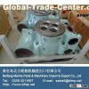 Cylinder head of diesel engine