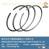 Piston and piston ring of diesel engine