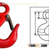 Eye Hoist Hooks 320C/320A