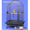 Medium Bird Cages Types, Colors And Sales.