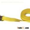 Winch Strap
