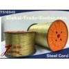 Brass Coated Tire Steel Wire / Steel Tyre Cord 3/8+13*0.22W HT 1.56mm Dia