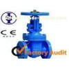 Flange Cast Iron Gate Valve / Automated Gate Valves for Industrial Oil Pipe