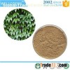 Ivy Stem Extract