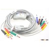 BTL 12-lead ECG cable
