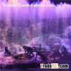Indoor Water Show