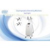 Pro Spa Fat Removal Cryolipolysis Slimming Machine For Belly Body Shaping / Fat Loss