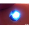 shining pet toy dog ball
