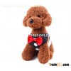 Cute pet collar harness, pet harness, pet dog