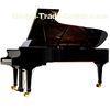 275cm 88 Key Upscale Luxurious Royal Conservatory Piano Solidwood AG-GP275