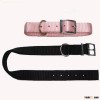 pet collar