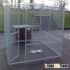 dog kennel run