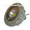 High Brightness White LED Explosion Proof Lights With 50W IP65