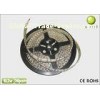 White FPC Double Line Flexible LED Strip Lghts 3528 240 LED / M