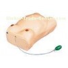 Normal size gynecologic simulator maternity examination breast palation for course train