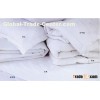 2011 star Hotel bed sheet/ comforter bedding set/hotel bed linen,quilt