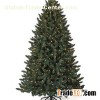 Traditional Christmas Tree