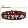 Leather Diy Dog Collar With 18mm Slide Letter Charm / alaskan malamute collar