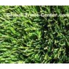 Pe Bonar Composite Base Cloth Natural Artificial Turf Athletic Field for Football Positive
