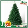 Needle Pine Trees