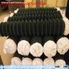 Galvanized Chain Link Fence/PVC Coated Chain Link Fence Price/Electro Galvanized Iron Fence