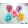 rose flower
