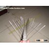 bird spikes