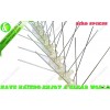 Haierc Plastic Bird Control Spike HC1104-W5