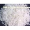 2cm - 4cm 100% White Duck Feather Quilt Filling Material Soft / Natural and Allergy Free