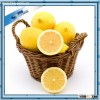 garden supplier hotsale handmade wicker fruit basket