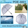 Straight Rain Market  Transparent Umbrella